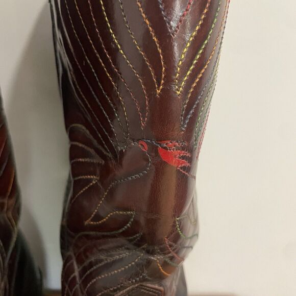 Iron Age Steel Toe Cowboy Boots Phoenix Rising Rainbow Stitch Brown Leather Sz 9 - Picture 4 of 16